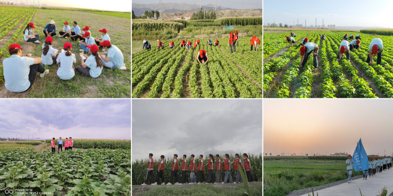 图片5-(8.10日 劳动实践).jpg